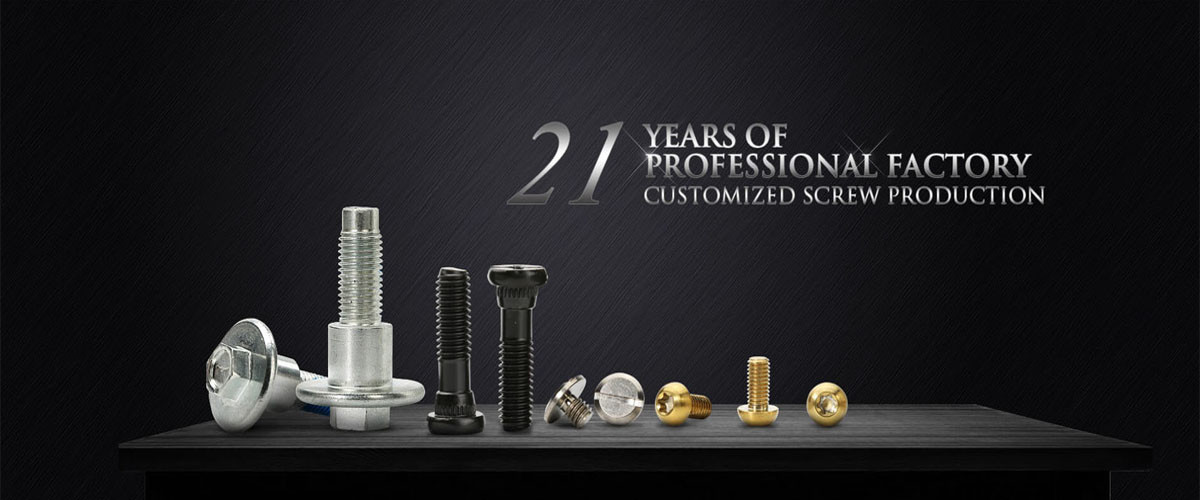 品質 ステンレス鋼のセルフ・タッピングねじ 工場